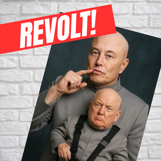 Elon Musk’s Revolt Against Trump