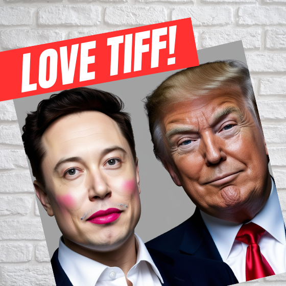 Trump-Musk Bromance Implodes in a Spectacle of Petty Billionaire Feud