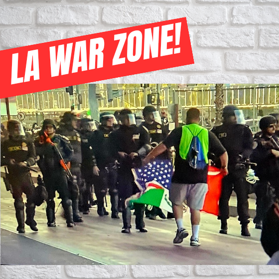LA Protest in Pictures