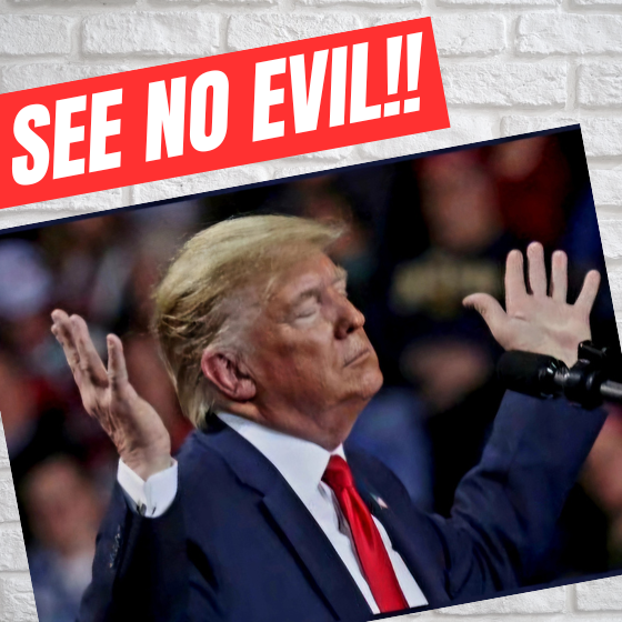 Deflection donny