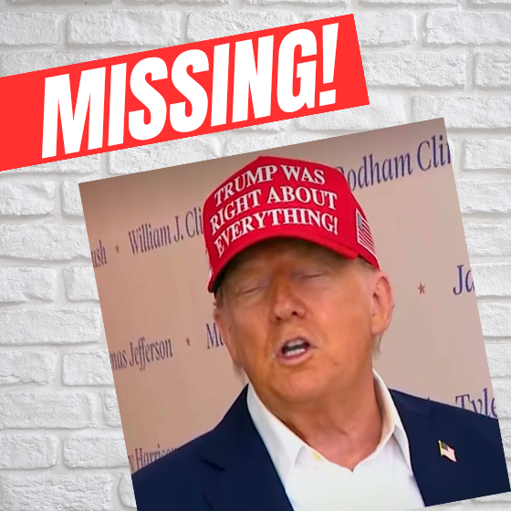 Where’s taco?